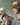Yorkshire Terrier Harness: The PerfectFit for your dog
