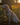Reactive & Anxious Dogs
