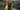 Puppy Socialisation: Beyond Dog Play