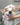 Easy Pet Care Advice & Tips: Tips for Happy, Healthy Dogs