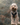Choosing the Perfect Dog Harness - Strap Up for Success