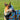English Bull Terrier Harness