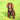Field Spaniel Harness
