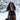 Gordon Setter Harness