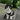Kinkalow Cat