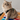 Ragamuffin Cat