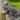 Russian Blue Cat