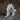 Samoyed Harness
