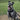 Schnauzer (Standard) Harness