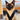 Siamese Cat