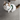 Turkish Van Cat