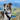 Silken Windhound