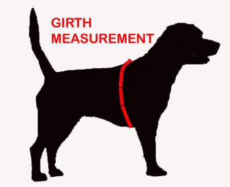 Girth Measurement